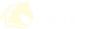 PR MENORCAN HORSES
